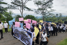 Gelar Aksi di Kantor Bupati, Ratusan Non-ASN Seluma Tuntut Keadilan Status Kerja