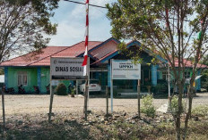 Dinsos Mukomuko Ungkap Kendala Serius Penanganan ODGJ, Peran Keluarga Dinilai Masih Minim