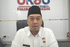 Pemprov Bengkulu Pastikan Gaji ke-13 PPPK Paruh Waktu Segera Dibayar, Siapkan Anggaran Rp4 Miliar