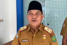 Harga Beras Stabil Jelang Akhir Tahun, Pemkot Bengkulu Pantau Kenaikan Cabai