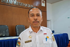 Bengkulu Siapkan Kawasan Industri Baru 61 Hektare Dekat Pulau Baai, Investor Bisa Segera Masuk