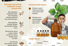 INFO GRAFIK: Minyak Atsiri Indonesia Makin Wangi di Pasar Global