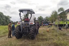 Usulan Alsintan Sudah Dikirim, Petani Mukomuko Masih Menunggu Realisasi