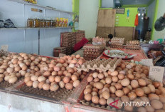 KUR Bengkulu Tembus Rp2,62 Triliun, Tinggal Kejar Rp1,21 Triliun dari Target 2026
