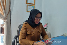 4.322 KPM di Bengkulu Terhenti Terima PKH, Terindikasi Judi Online