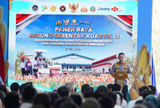 Kapolri Sampaikan Aspirasi Petani kepada Presiden Prabowo Saat Panen Raya Jagung Nasional