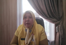 Replanting Sawit 3.500 Hektare di Bengkulu Ditargetkan 2026, Tersebar di Lima Kabupaten