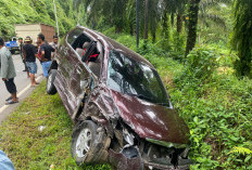 Dua Minibus Adu Banteng di Jalur Bengkulu–Manna, Dua Penumpang Luka