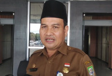 PT Bimex Didesak Setor PAD Bengkulu, Pemprov Siapkan Audit Keuangan