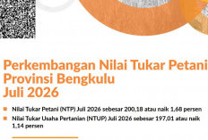 NTP Nelayan Bengkulu Naik 1,73 Persen, Pembudidaya Ikan Justru Turun
