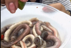 Tembiluk Makanan Khas Kalimantan yang Viral, Ternyata Bukan Cacing!