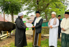 Dua Sapi Kurban Pemprov Bengkulu Diserahkan Langsung ke Masjid Baitul Izzah