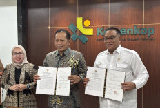 Koperasi Didorong Masuk Bisnis Perdagangan Karbon, Potensi Ekonomi Baru Dibuka