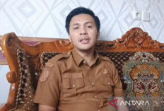 Rp174,2 Miliar Disiapkan, 4.577 PPPK Bengkulu Utara Dipastikan Tak Dirumahkan