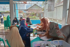 Temuan Nyamuk Anopheles di Lebong Negatif Parasit, Status Bebas Malaria Masih Bertahan