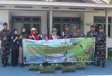 UNIB Latih Prajurit dan Istri Lanal Bengkulu Budidaya Cabai Merah, Pekarangan Disulap Jadi Sumber Pangan dan P