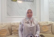 Kabar Baik! 36 Dusun di Bengkulu Berpeluang Segera Dialiri Listrik, Ini Rinciannya