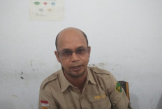 Realisasi Pupuk Subsidi di Kota Bengkulu Capai 77 Persen, Serapan Urea dan NPK Paling Dominasi