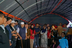 Gubernur Helmi Hasan Terjun Langsung ke Lokasi Abrasi Batang Anai, Salurkan Bantuan untuk Warga Sumbar