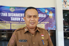 WFH Wajib 1 Hari Seminggu di Bengkulu, Disnakertrans Turunkan Tim Awasi Perusahaan Bandel