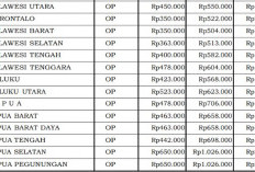 Biaya Rapat Halfday Eselon III Tahun 2026 Ditetapkan, Papua Rp472 Ribu Bengkulu Rp290 Ribu