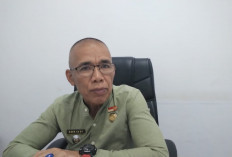 196 Ribu Data Bansos di Kota Bengkulu Siap Diverifikasi Ulang, Dinsos Perketat Pengawasan