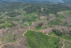 Percepatan Perumahan Bengkulu Dikebut, Pemprov Bawa Empat Program Strategis ke Pusat