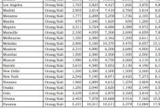 Tiket Dinas Business Class 2026 Tembus Rp209 Juta, Ini 10 Rute Termahal