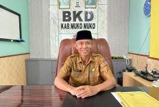 Realisasi PAD Mukomuko Baru Capai 36,7 Persen, BKD Optimistis Target Rp70,7 Miliar Tercapai