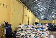 Polda Bengkulu Bongkar Mafia Pupuk Subsidi, 90 Ton Diduga Disalurkan Ilegal