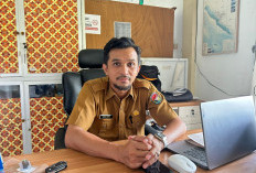 Kontrak PPPK Paruh Waktu Berlaku Setahun, Ini 11 Alasan Bisa Dihentikan