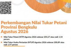 NTP Bengkulu Tertinggi se-Sumatera, Capai 203,27 pada Agustus 2026