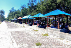 Tanpa Biaya, Gazebo Gratis di Pantai Panjang Bikin Wisatawan Betah