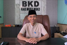 BKD Mukomuko Beri Batas Waktu hingga 10 Juli, ASN yang Tak Perbarui KP4 Terancam Kehilangan Tunjangan