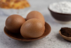 Punya Kolesterol Tinggi, Bolehkah Makan Telur Setiap Hari? Ini Penjelasannya