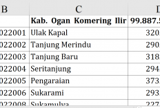 Dana Desa 2026 OKI Tembus Rp99,8 Miliar, Ini Daftar Lengkap Alokasi per Desa di Ogan Komering Ilir 