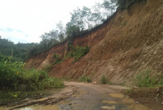 BPBD Lebong Keluarkan Imbauan Siaga Cuaca Ekstrem, Warga Diminta Waspada Ancaman Banjir dan Longsor