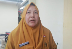 Pemprov Bengkulu Dorong Urban Farming, Lahan Sempit Jadi Peluang Ekonomi