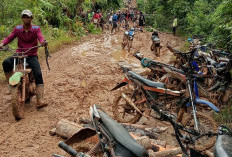 Jalan Desa Tanjung Aur Kaur Rusak Parah, Warga Bertaruh Nyawa Perbaiki Jalan Secara Mandiri