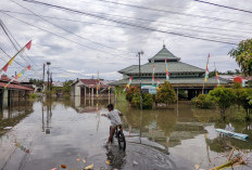 Imunitas Jangan Tumbang! Cara Efektif dan Tips Menjaga Kesehatan Saat Banjir Melanda