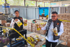 Minyak Curah Dikemas Jadi Minyakita, Polda Bengkulu Sita Ratusan Ribu Produk Oplosan dari Gudang Sawah Lebar