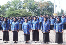 10 PPPK Paruh Waktu Mukomuko Mundur, Jumlah Pegawai Kini Tinggal 1.863 Orang