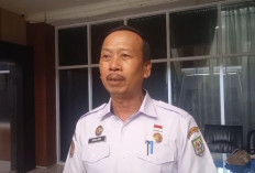Idul Adha 1447 H, Bengkulu Siapkan Sapi Kurban Presiden Berbobot 1,148 Ton