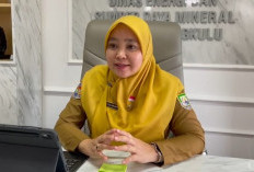 Pemprov Bengkulu Usulkan 6.041 Sambungan Listrik Gratis ke Kementerian ESDM