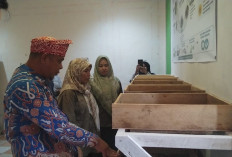 Pemkot Bengkulu Dorong Budidaya Maggot Setiap Kecamatan, Sampah Organik Jadi Sumber Ekonomi Warga