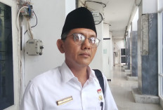 Pemprov Bengkulu Kebut Penyerapan Pupuk Subsidi, Kabupaten Diminta Tuntaskan Validasi Data Petani