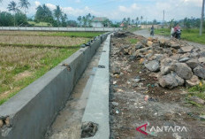 Kementan Siapkan Bantuan untuk 32 Ribu Hektare Sawah Rejang Lebong, Irigasi hingga Alsintan Menyusul