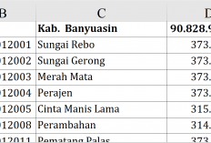 Wow! Dana Desa 2026 Banyuasin Tembus Rp90,8 Miliar, Ratusan Desa Dapat Rp373 Juta Deskripsi: