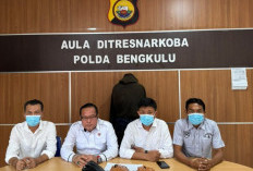 2 Kg Ganja Diamankan di Bengkulu, Polisi Buru Pelaku yang Kabur Saat Transaksi