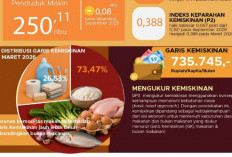 Garis Kemiskinan Bengkulu Naik 7,59 Persen, Beras Jadi Penyumbang Terbesar